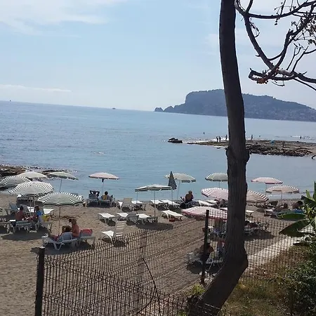 Daire Expert Alanya