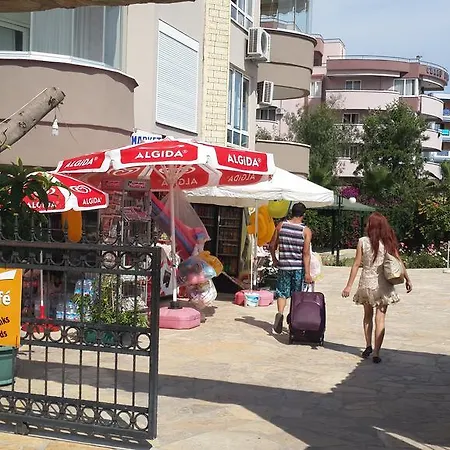 Expert * Alanya