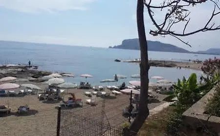 Expert * Alanya